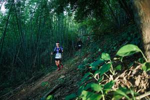 BIB: 
                            <button type="button" onclick="openModal(28124613)" class="btn btn-primary btn-sm float-right btn-popup" data-toggle="modal" data-target=".modal-high-quality">
                        <i class="fas fa-shopping-cart"></i> Add to Cart
                    </button>
                                            <button type="button" onclick="isThisMe(28124613, true)" class="btn btn-success btn-sm float-right btn-popup btn-isme hidden" data-toggle="tooltip" data-placement="bottom" title="นี่คือรูปของคุณใช่ไหม คลิกที่นี่เพื่อเอาเข้าอัลบั้ม">
                        <i class="fas fa-plus"></i> Add to album
                    </button>
                    <button type="button" onclick="isThisMe(28124613, false)" class="btn btn-warning btn-sm float-right btn-popup btn-isnotme hidden">
                        <i class="fas fa-ban"></i> Remove from album
                    </button>